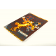 Brulion A5 32k kratka INTERDRUK
