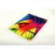 Zeszyt A5 60k linia INTERDRUK Rainbow