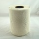 Ręcznik papierowy MINI celuloza