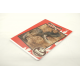 Brulion A5 16k linia INTERDRUK